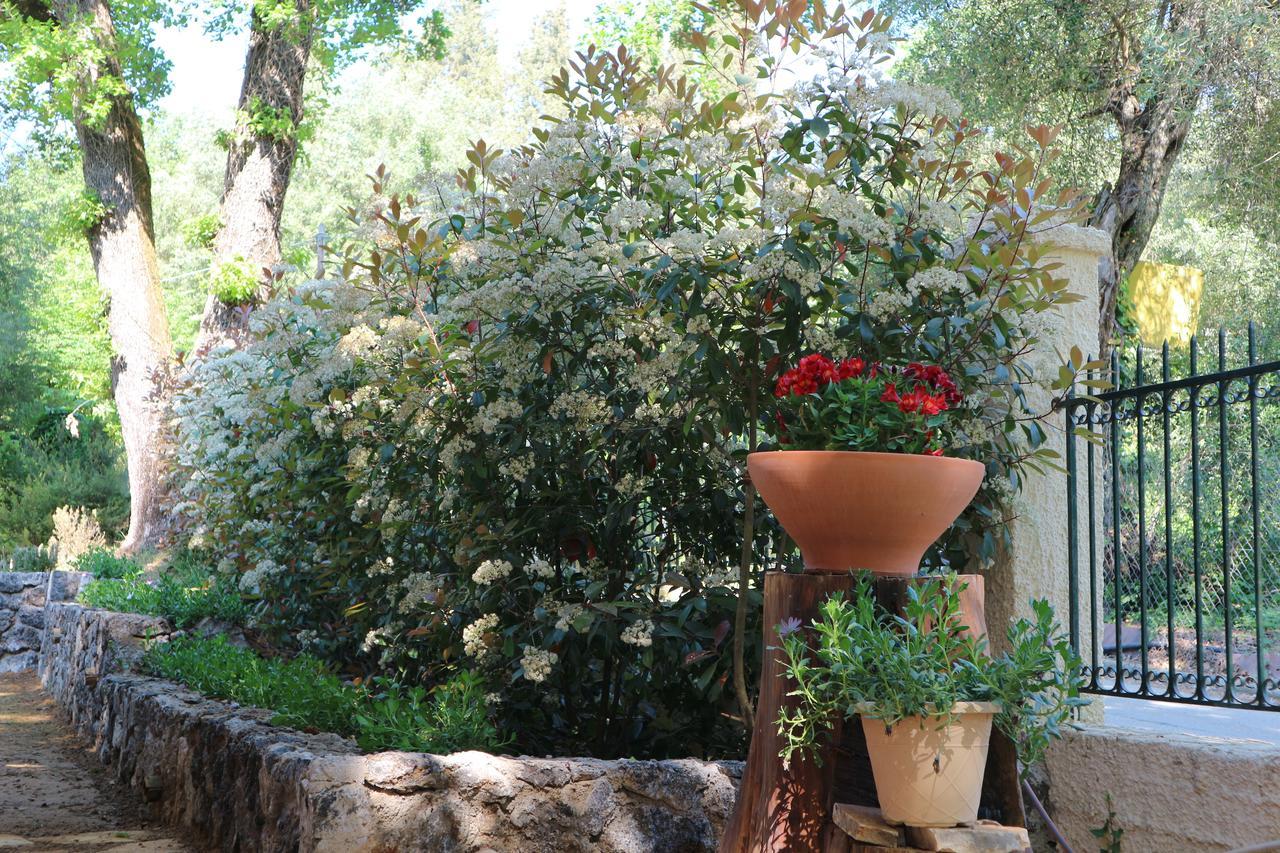 Villa Magia Ypsos Exterior foto